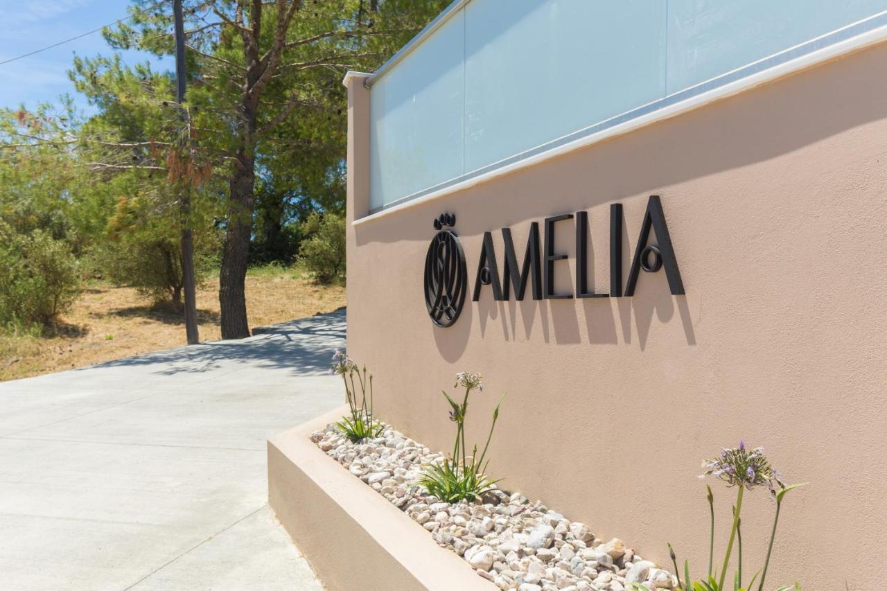 Amelia Residence تراغاكي المظهر الخارجي الصورة